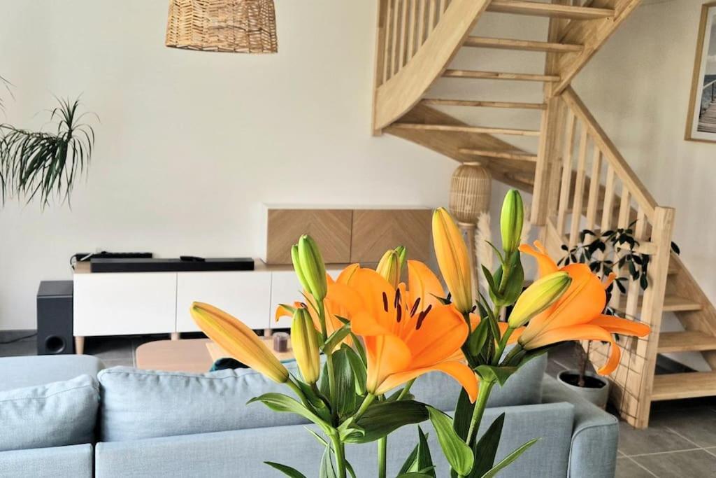 Maison Moderne A Baden Kültér fotó